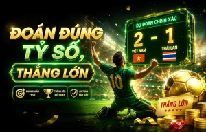 feedmelah thể thao